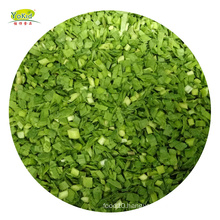 China factory Bulk whole distribute IQF frozen leek